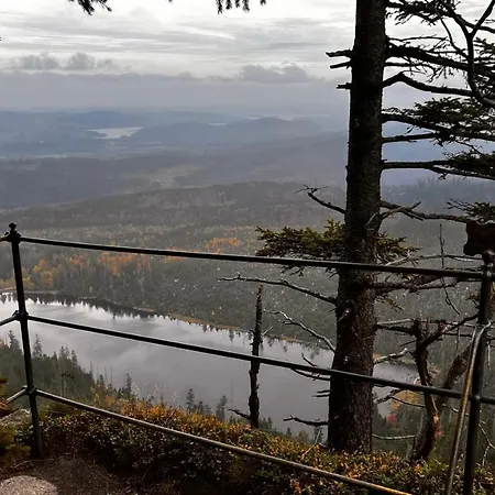 Hauslipno Na Lipne * 伏尔塔瓦河畔利普诺