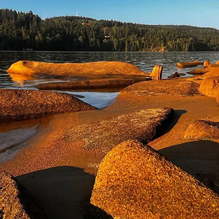 Hauslipno Na Lipne 伏尔塔瓦河畔利普诺