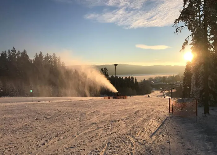 Hauslipno Na Lipne *